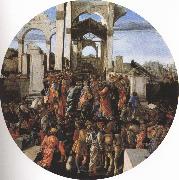 Sandro Botticelli Adoration of the Magi (mk36) oil painting